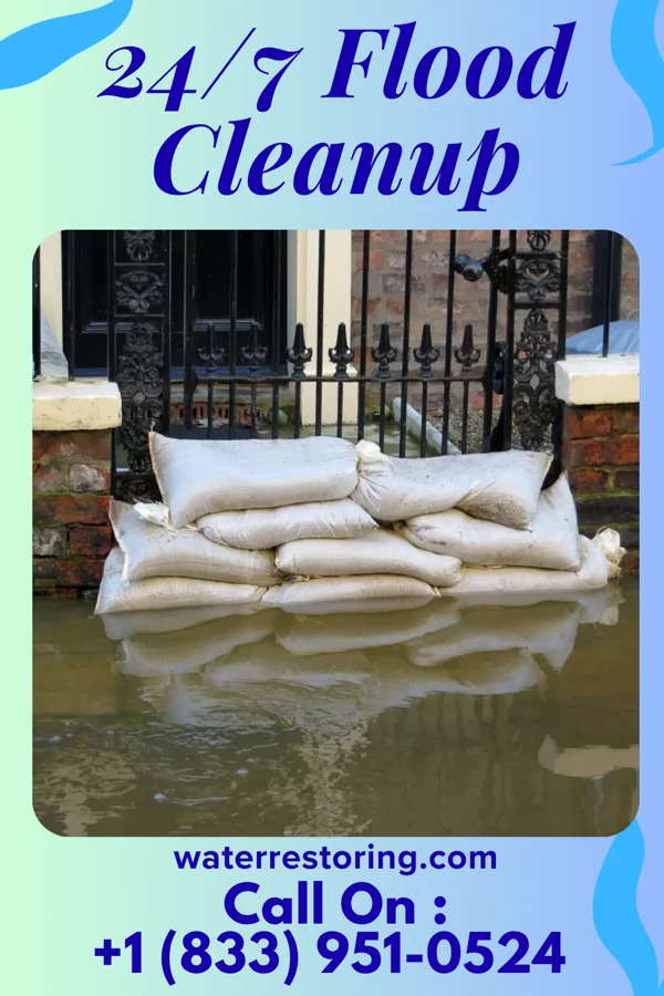 24/7 Flood Cleanup in Whitelaw, WI