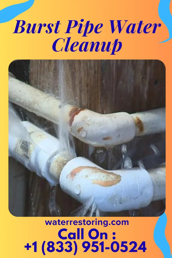 Burst Pipe Water Cleanup in Whitelaw, WI