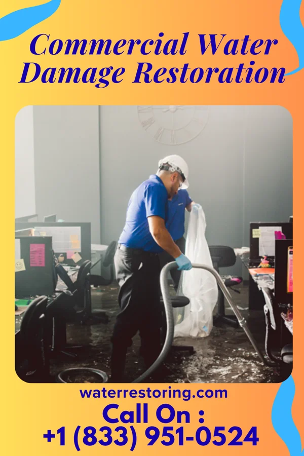 Commercial Water Damage Restoration in Whitelaw, WI