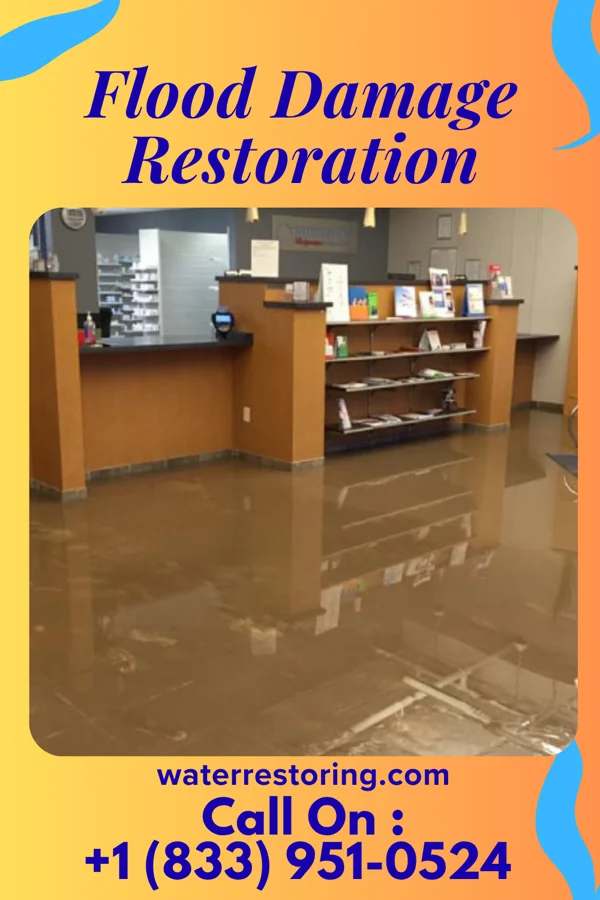 Flood Damage Restoration in Whitelaw, WI