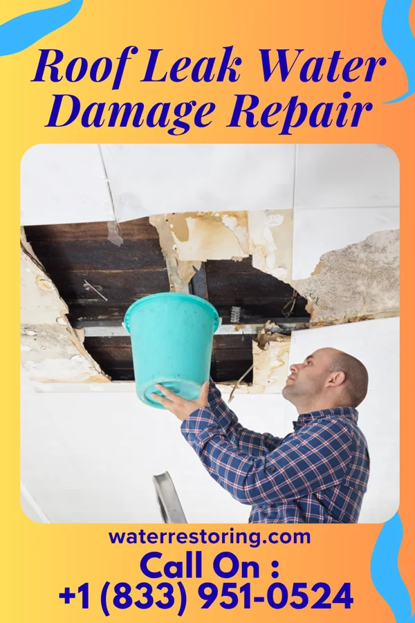 Roof Leak Water Damage Repair in Whitelaw, WI