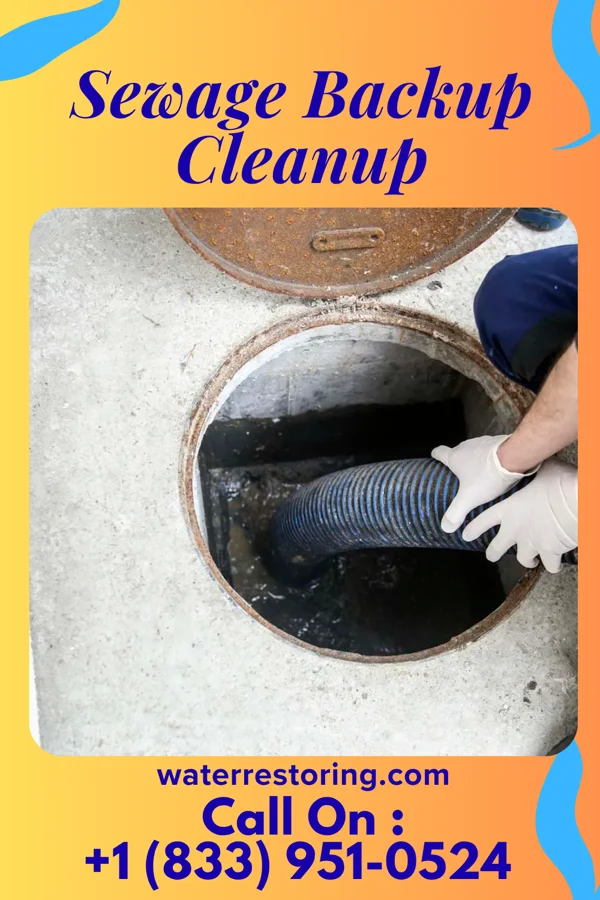 Sewage Backup Cleanup in Whitelaw, WI
